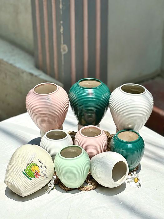 Bầu Tròn ảnh 9