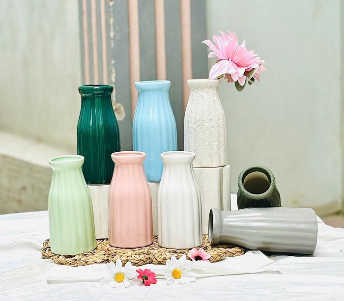 Lọ Sọc Bé ảnh 6